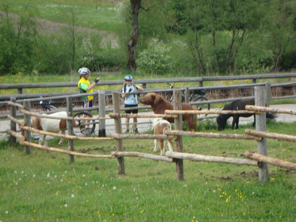Winnewieser Vandoies Buitenkant foto
