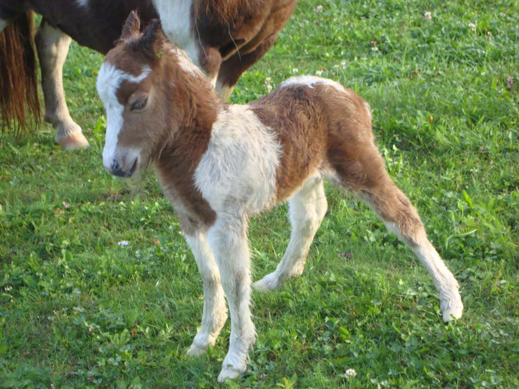 Winnewieser Vandoies Buitenkant foto