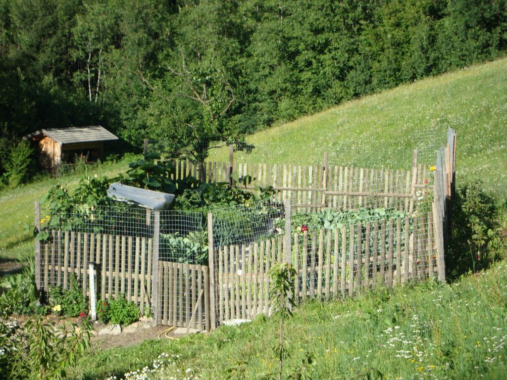 Winnewieser Vandoies Buitenkant foto