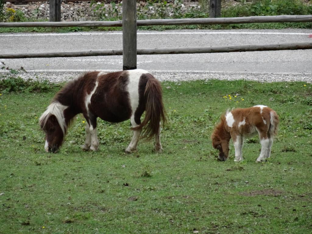 Winnewieser Vandoies Buitenkant foto