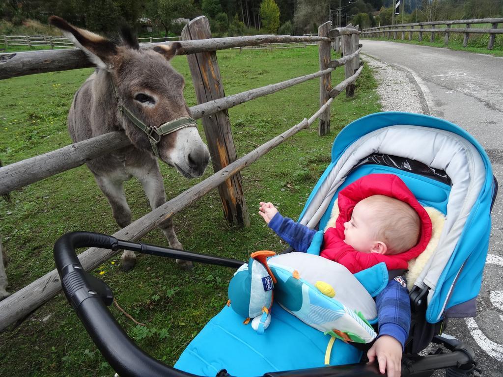 Winnewieser Vandoies Buitenkant foto